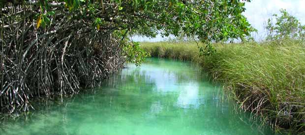canals Cesiak Cancun