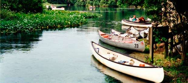 Wekiwa Springs