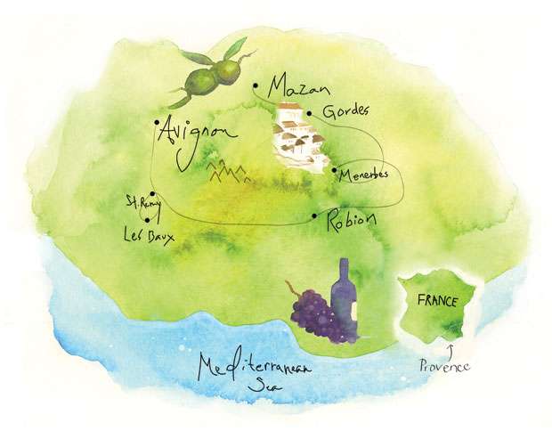 Illustrations by Rebekah Nichols