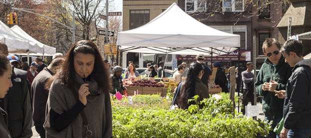 Fort Greene Park Greenmarket
