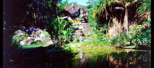 Tijuca Forest Rio de Janeiro