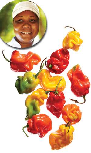 Peppers photo by Kang Kim