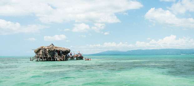 Pelican Bar, Dave Lauridsen