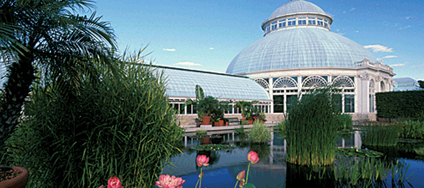 Botanical Garden