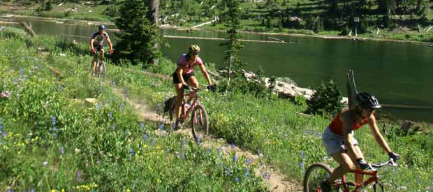 Mountain biking through meadow
