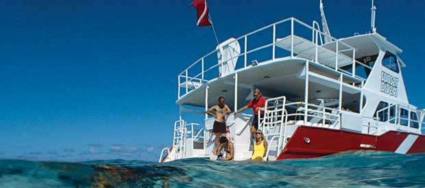 Grand Cayman Stingray City