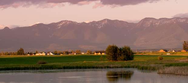 Kalispell
