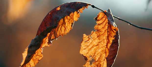 Omaha Parks and Trails