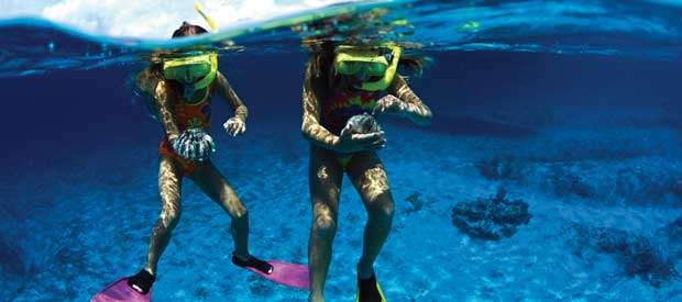 Snorkeling Grand Cayman