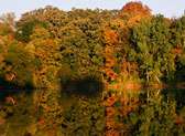 Kettle Moraine State Forest