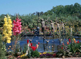 Brookgreen Gardens