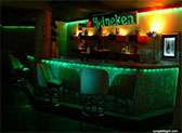 Jungle Nightclub 