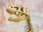 Natural History Museum of Utah