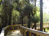 Panama City Beach Conservation Park