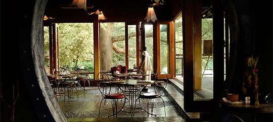 moyo restaurant johannesburg