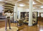 Museu do Café