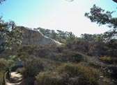 Torrey Pines State Natural Reserve