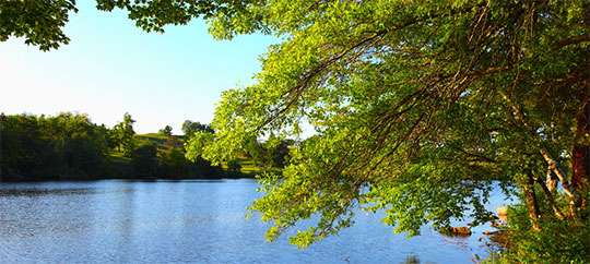 Eagle Creek Park