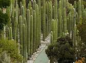 National Botanical Garden Dr. Rafael M. Moscoso