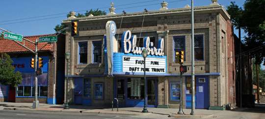 The Bluebird