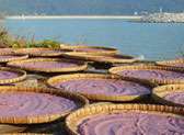Tai O Fishing Village