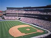Atlanta Braves