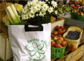 Jean-Talon Market