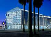 San Jose Sharks