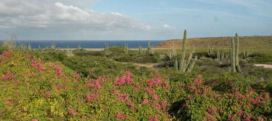 Arikok National Park Foundation