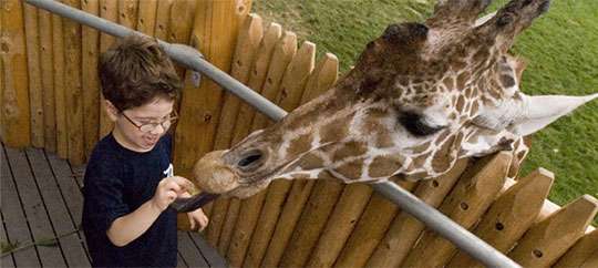 Detroit Zoo