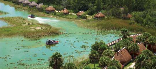 Billie Swamp Safari