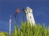 Alcatraz Island, via Alcatraz Cruises