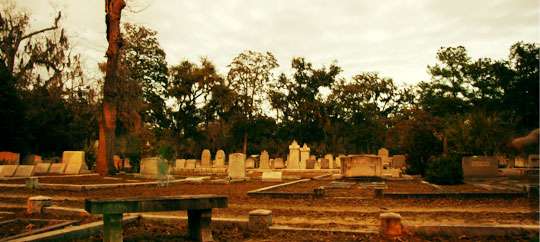 Bonaventure Cemetery