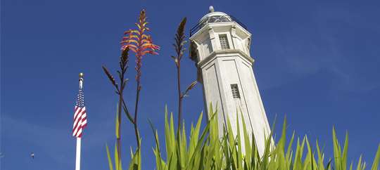 Alcatraz Cruises