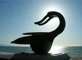 Wednesday Night Historic Center Art Walk