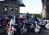 Steel Horse Saloon