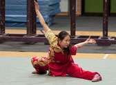Long Wu Kung Fu Center