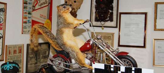 Carr’s One of a Kind in the World Museum