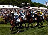 Iroquois Steeplechase