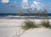 Howard E. Futch Memorial Park at Paradise Beach