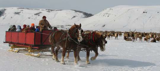 Take a Sleigh Ride