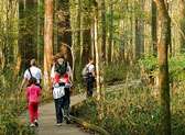 Congaree National Park