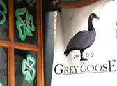 The Grey Goose