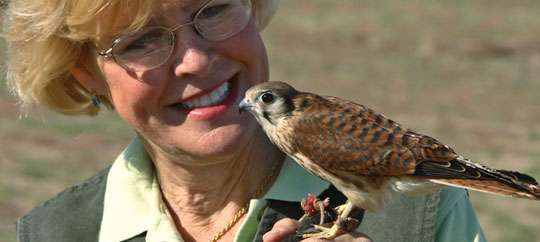 World Center for Birds of Prey