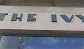 The Ivy