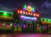 Iguana Mia