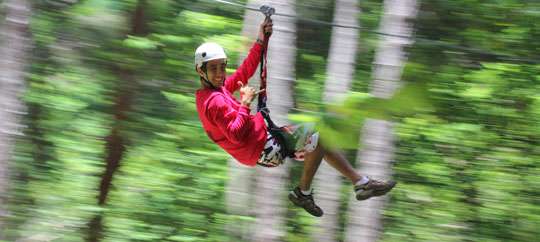Zip Line Canopy Tour