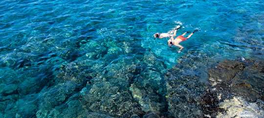 snorkeling