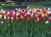 Washington Park