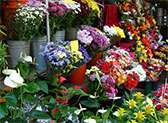 Floating Flower Market